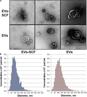 Analysis of MicroRNA Profile Alterations in Extracellular Vesicles From Mesenchymal Stromal Cells Overexpressing Stem Cell Factor